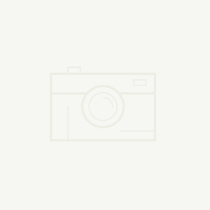 企業(yè)官網(wǎng)